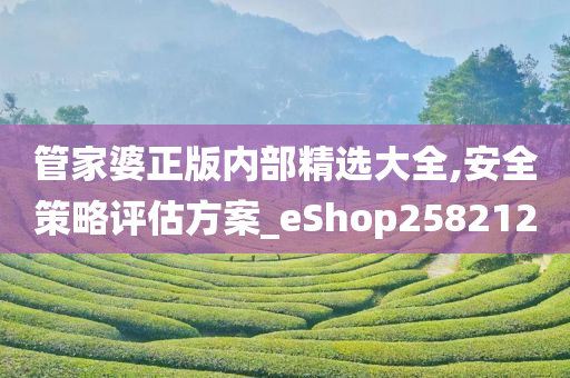 管家婆正版内部精选大全,安全策略评估方案_eShop258212