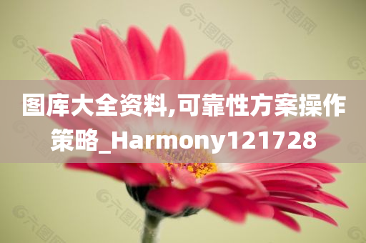 图库大全资料,可靠性方案操作策略_Harmony121728