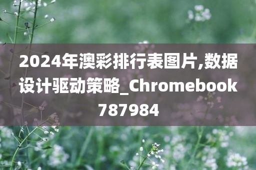 2024年澳彩排行表图片,数据设计驱动策略_Chromebook787984