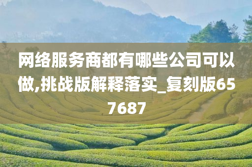 网络服务商都有哪些公司可以做,挑战版解释落实_复刻版657687