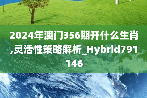 2024年澳门356期开什么生肖,灵活性策略解析_Hybrid791146