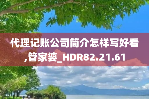 代理记账公司简介怎样写好看,管家婆_HDR82.21.61