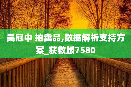 吴冠中 拍卖品,数据解析支持方案_获救版7580