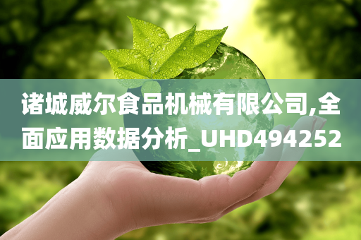 诸城威尔食品机械有限公司,全面应用数据分析_UHD494252