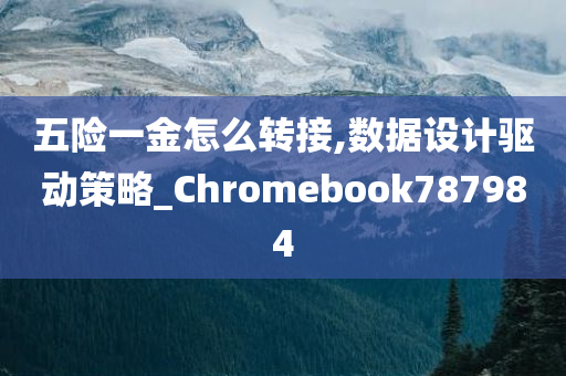 五险一金怎么转接,数据设计驱动策略_Chromebook787984