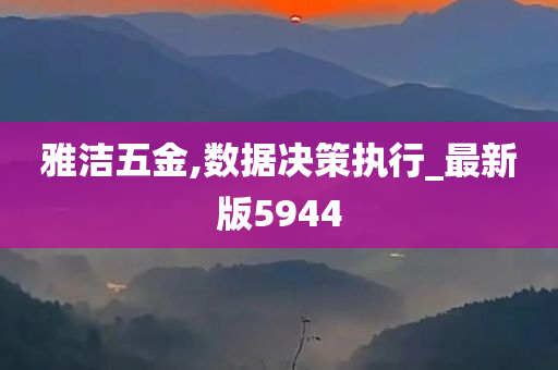 雅洁五金,数据决策执行_最新版5944