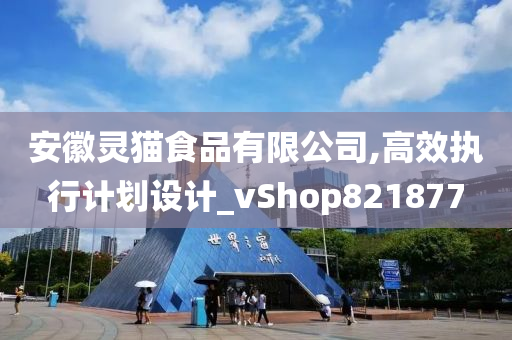 安徽灵猫食品有限公司,高效执行计划设计_vShop821877