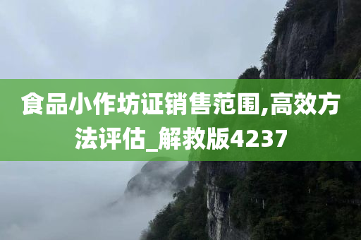 食品小作坊证销售范围,高效方法评估_解救版4237