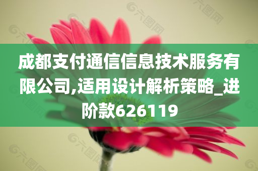 成都支付通信信息技术服务有限公司,适用设计解析策略_进阶款626119