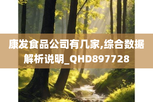 康发食品公司有几家,综合数据解析说明_QHD897728