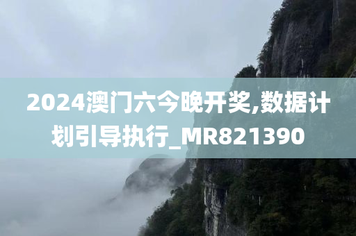 2024澳门六今晚开奖,数据计划引导执行_MR821390