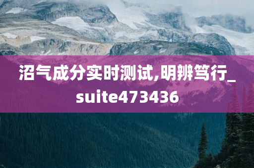 沼气成分实时测试,明辨笃行_suite473436