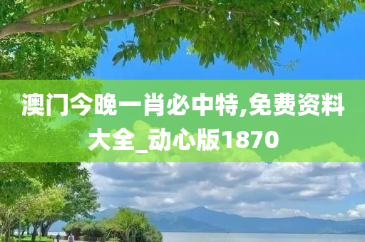 澳门今晚一肖必中特,免费资料大全_动心版1870