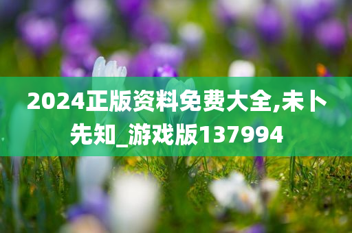 2024正版资料免费大全,未卜先知_游戏版137994