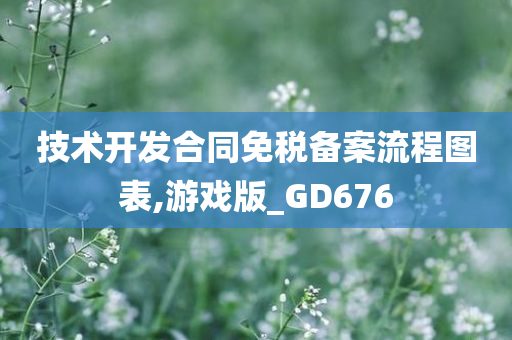 技术开发合同免税备案流程图表,游戏版_GD676