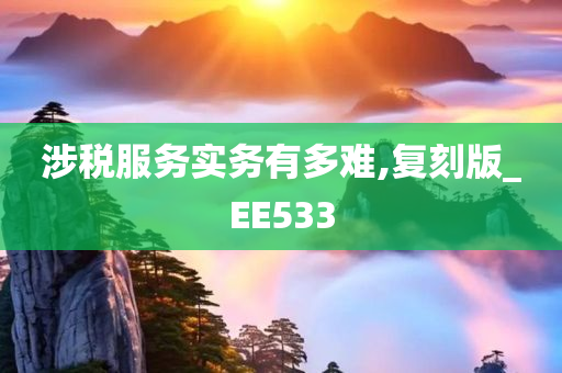 涉税服务实务有多难,复刻版_EE533