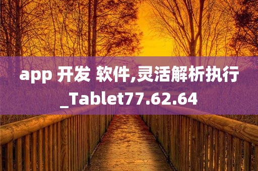 app 开发 软件,灵活解析执行_Tablet77.62.64