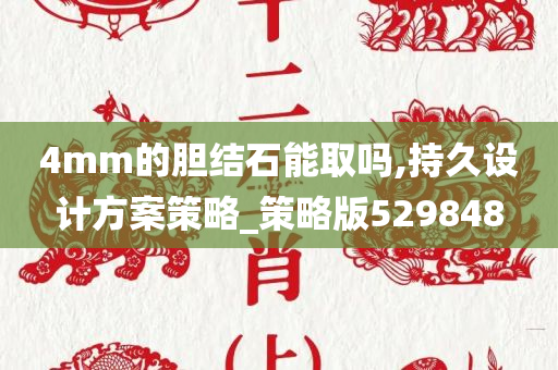 4mm的胆结石能取吗,持久设计方案策略_策略版529848