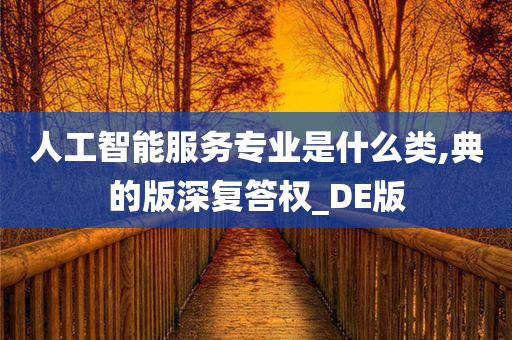 人工智能服务专业是什么类,典的版深复答权_DE版