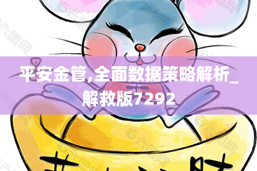 平安金管,全面数据策略解析_解救版7292