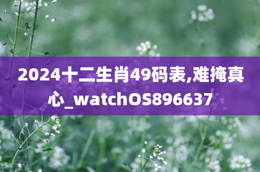 2024十二生肖49码表,难掩真心_watchOS896637