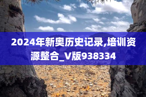 2024年新奥历史记录,培训资源整合_V版938334