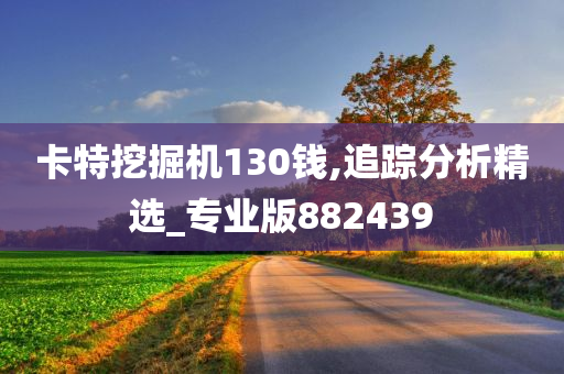 卡特挖掘机130钱,追踪分析精选_专业版882439