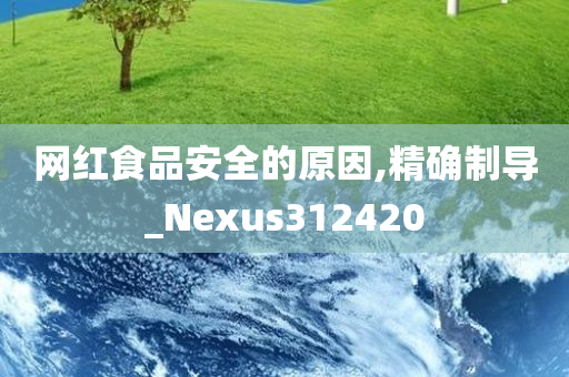 网红食品安全的原因,精确制导_Nexus312420