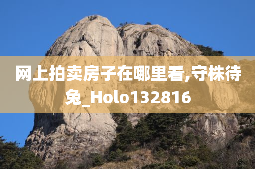 网上拍卖房子在哪里看,守株待兔_Holo132816