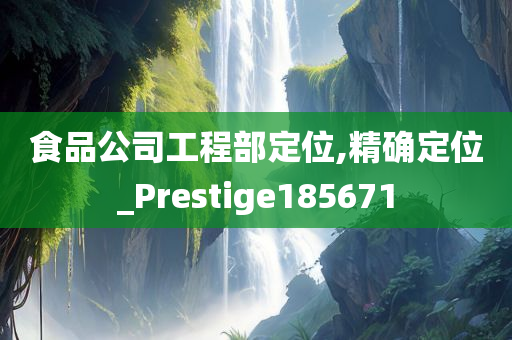 食品公司工程部定位,精确定位_Prestige185671