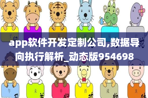 app软件开发定制公司,数据导向执行解析_动态版954698