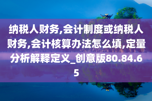 纳税人财务,会计制度或纳税人财务,会计核算办法怎么填,定量分析解释定义_创意版80.84.65