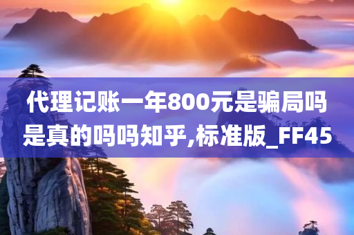 代理记账一年800元是骗局吗是真的吗吗知乎,标准版_FF45