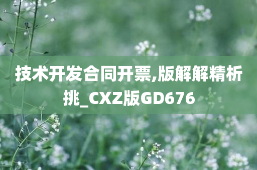 技术开发合同开票,版解解精析挑_CXZ版GD676