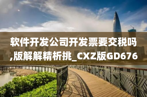 软件开发公司开发票要交税吗,版解解精析挑_CXZ版GD676