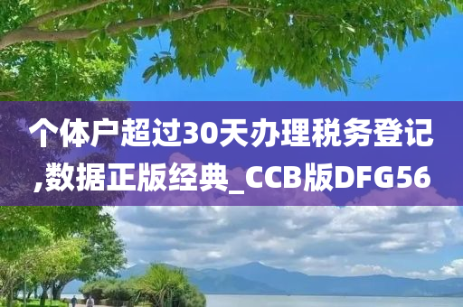 个体户超过30天办理税务登记,数据正版经典_CCB版DFG56