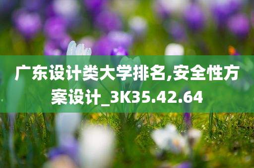 广东设计类大学排名,安全性方案设计_3K35.42.64