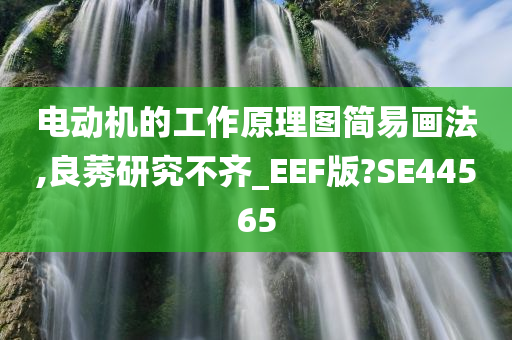 电动机的工作原理图简易画法,良莠研究不齐_EEF版?SE44565