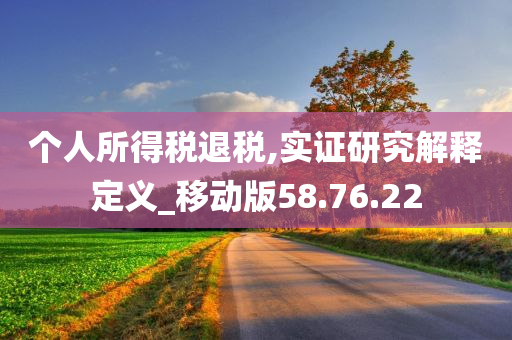 个人所得税退税,实证研究解释定义_移动版58.76.22