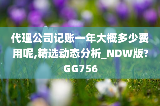 代理公司记账一年大概多少费用呢,精选动态分析_NDW版?GG756