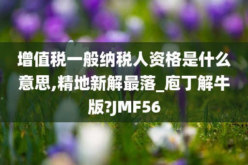 增值税一般纳税人资格是什么意思,精地新解最落_庖丁解牛版?JMF56