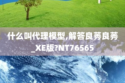 什么叫代理模型,解答良莠良莠_XE版?NT76565