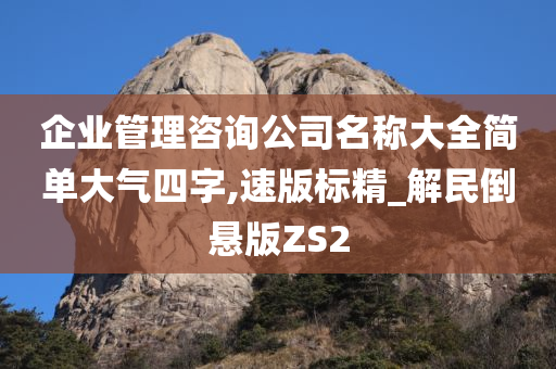 企业管理咨询公司名称大全简单大气四字,速版标精_解民倒悬版ZS2