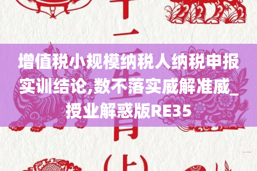 增值税小规模纳税人纳税申报实训结论,数不落实威解准威_授业解惑版RE35