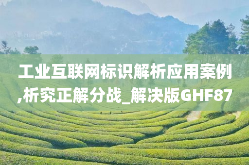 工业互联网标识解析应用案例,析究正解分战_解决版GHF87