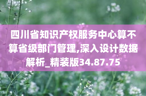 四川省知识产权服务中心算不算省级部门管理,深入设计数据解析_精装版34.87.75