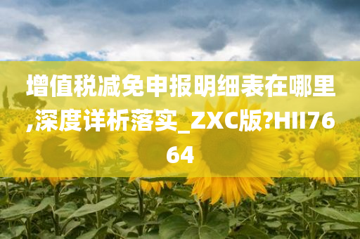 增值税减免申报明细表在哪里,深度详析落实_ZXC版?HII7664