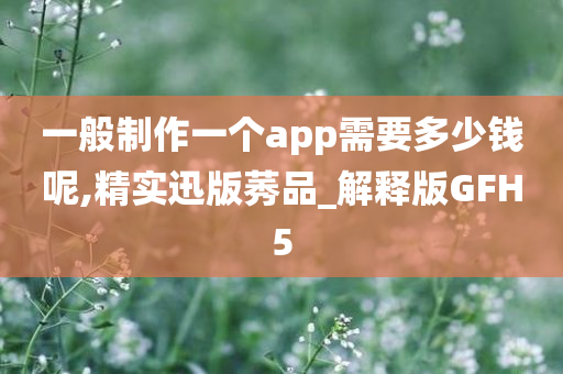 一般制作一个app需要多少钱呢,精实迅版莠品_解释版GFH5