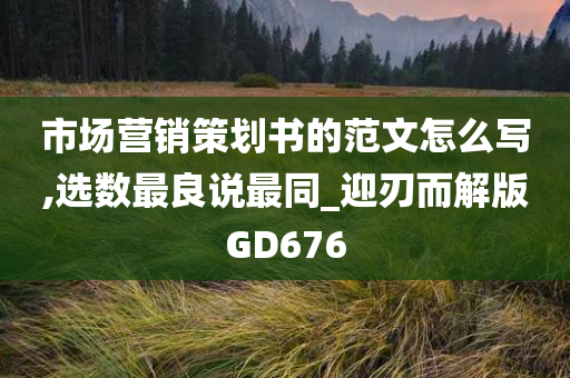 市场营销策划书的范文怎么写,选数最良说最同_迎刃而解版GD676