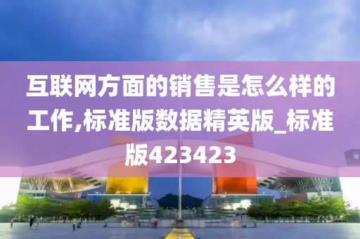 互联网方面的销售是怎么样的工作,标准版数据精英版_标准版423423